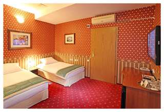 Отель Hotel Janusz Седльце Двухместный номер с 1 кроватью-1